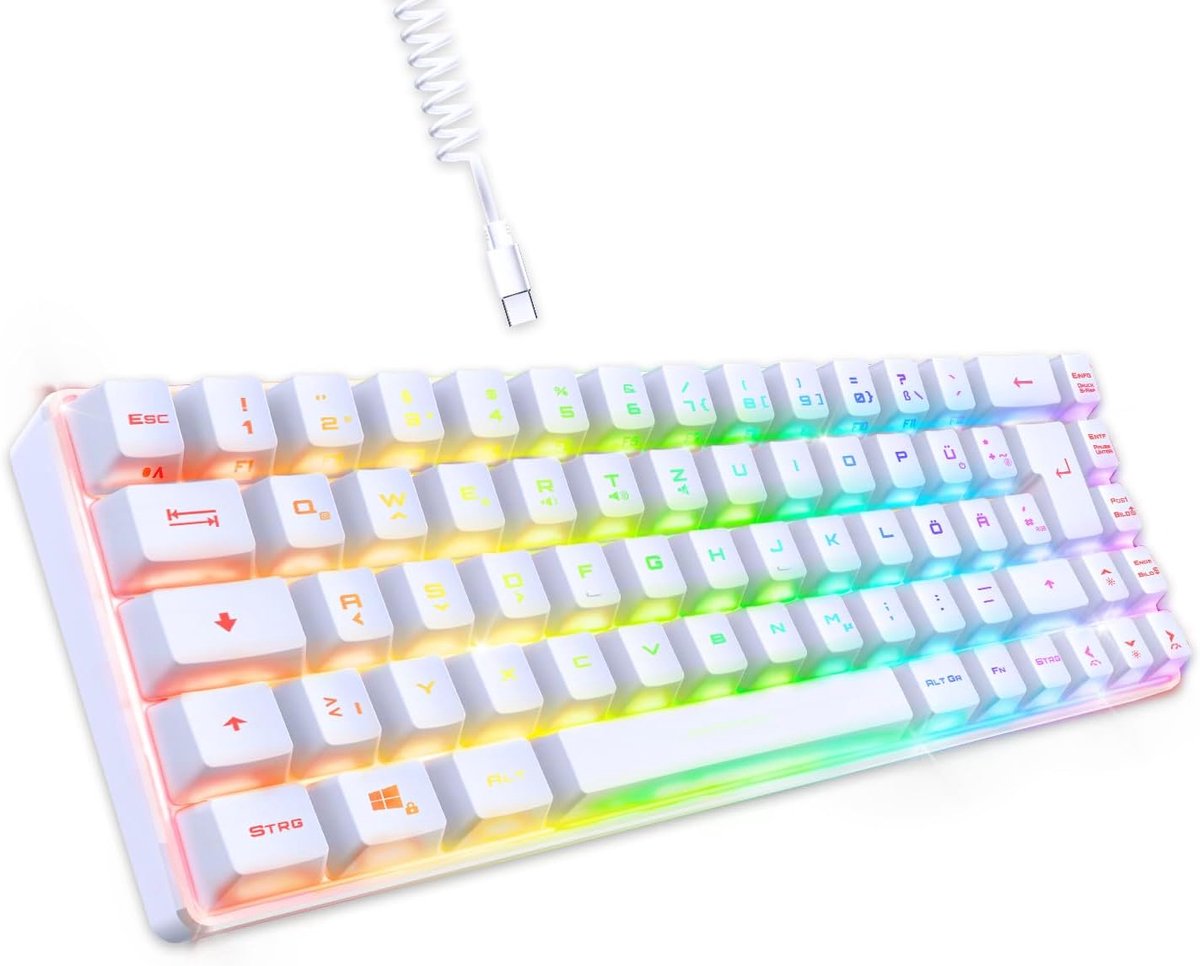 Compact RGB Toetsenbord met 69 Toetsen - Anti-Ghosting en USB Type C - Gaming Toetsenbord voor PC/PS4/PS5/Xbox