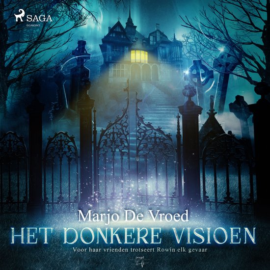 Het donkere visioen - cover