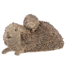 Egel Mama met kind