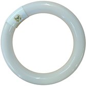 Ampoule Circulaire Sylvania Circline Plus T9 32W – Blanc Froid, Culot G10Q, 2000+ Lumens, Durée De Vie 50000h