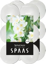 24x Geurtheelichtjes Spiritual Jasmin 4,5 branduren - Geurkaarsen jasmijn geur - Waxinelichtjes