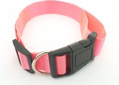 Halsband hond - 36-60cm x 2.5cm - Roze