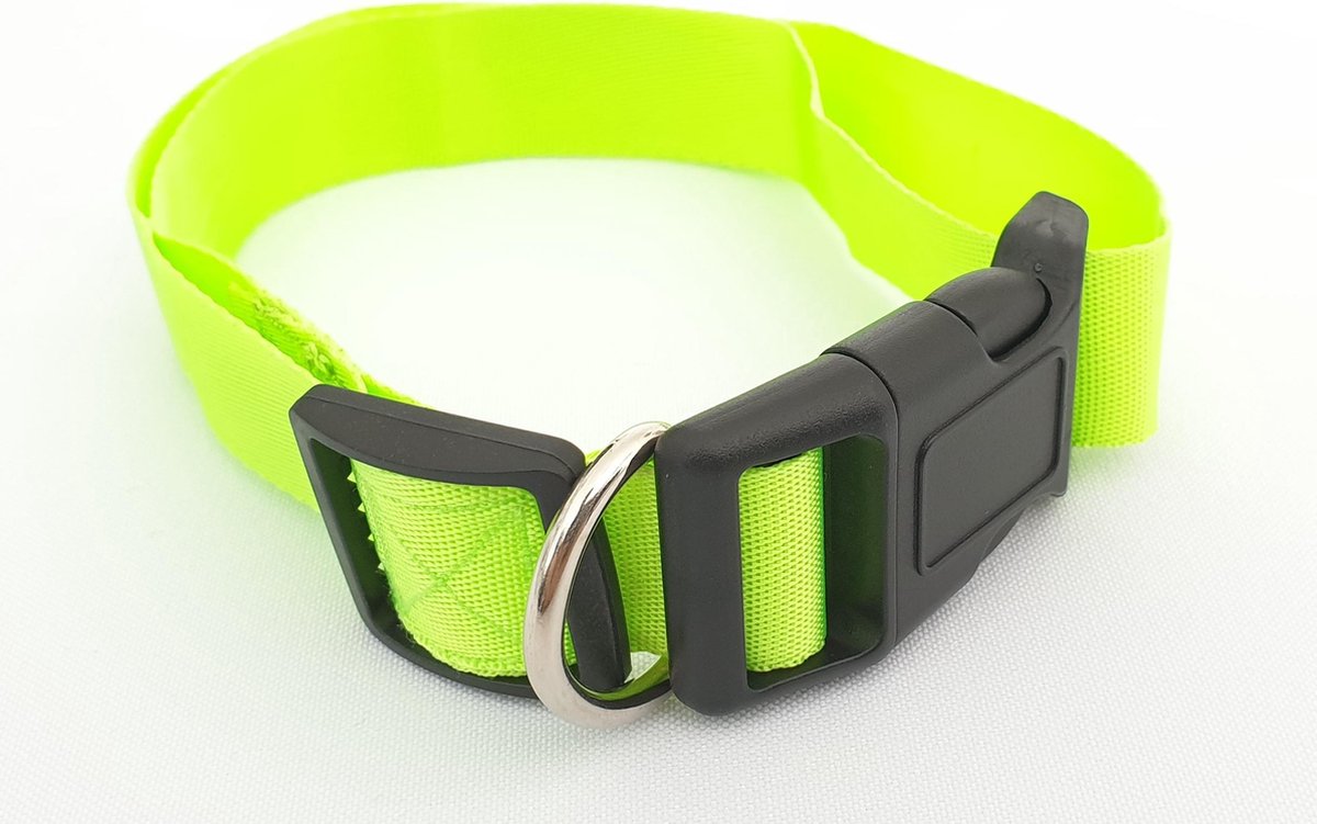 Halsband hond - 36-60cm x 2.5cm - Groen