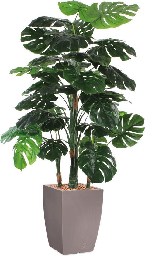 HTT - Kunstplant Monstera in Genesis vierkant taupe H160 cm