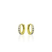 Huiscollectie Gouden Oorring VGKA2/10