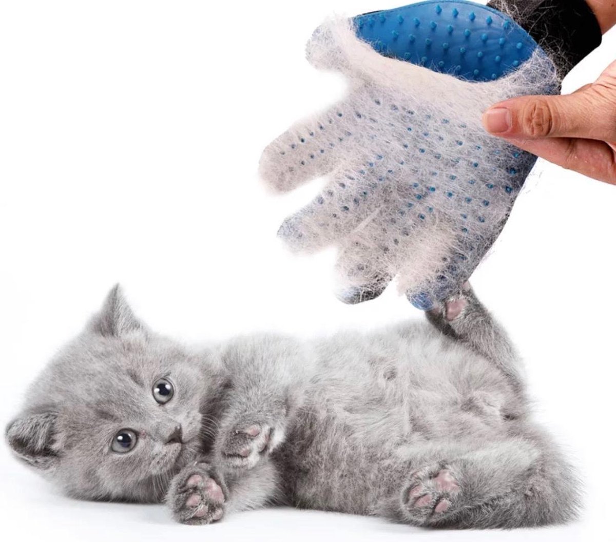 Dierenborstel-vachtborstel-honden-katten-massagehandschoen-vachtverzorging-borstel...  | bol.com