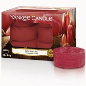 Yankee Candle Geparfumeerde Waxinelichtjes - Ciderhouse - 12 Stuks