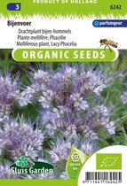 Jardin Sluis - Nourriture pour abeilles BIO (Phacelia tanacetifolia)