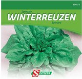 Somers zaden - Spinazie Winterreuzen 60gr