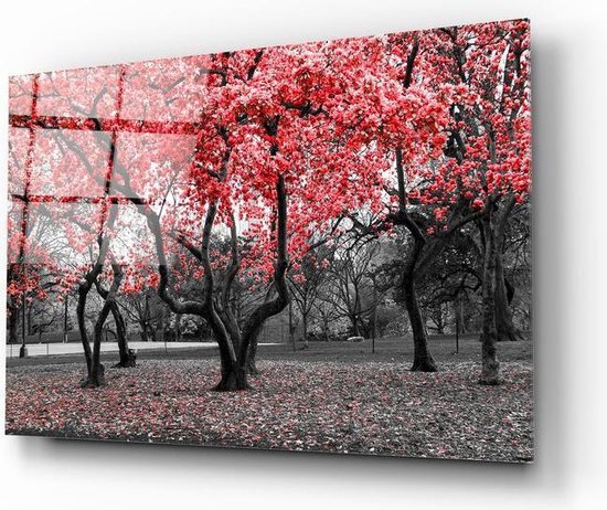 Insigne Glazen Schilderijen - Rode Bomen - Natuur - Glasschilderij - 72x46 cm - 4 mm