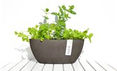Ecopots Sofia ovaal 30 cm taupe - planten/bloembak-pot