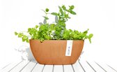 Ecopots Sofia ovaal terracotta 30 cm - planten/bloembak-pot