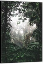 Dibond –Mist in de Jungle– 100x200cm Foto op Aluminium (Wanddecoratie van metaal)