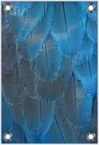 Tuinposter –Blauwe Veren – 100x150cm Foto op Tuinposter (wanddecoratie voor buiten en binnen)