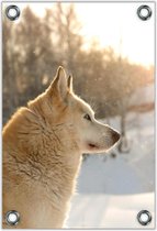 Tuinposter –Witte Hond in Sneeuw– 60x90cm Foto op Tuinposter (wanddecoratie voor buiten en binnen)