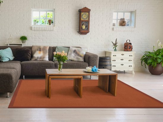 casa pura Sisal Teppich aus Naturfasern | mit Bordüre aus Baumwolle