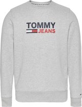 Tommy Hilfiger Classic Sweater Trui - Maat S  - Vrouwen - Grijs:blauw/rood