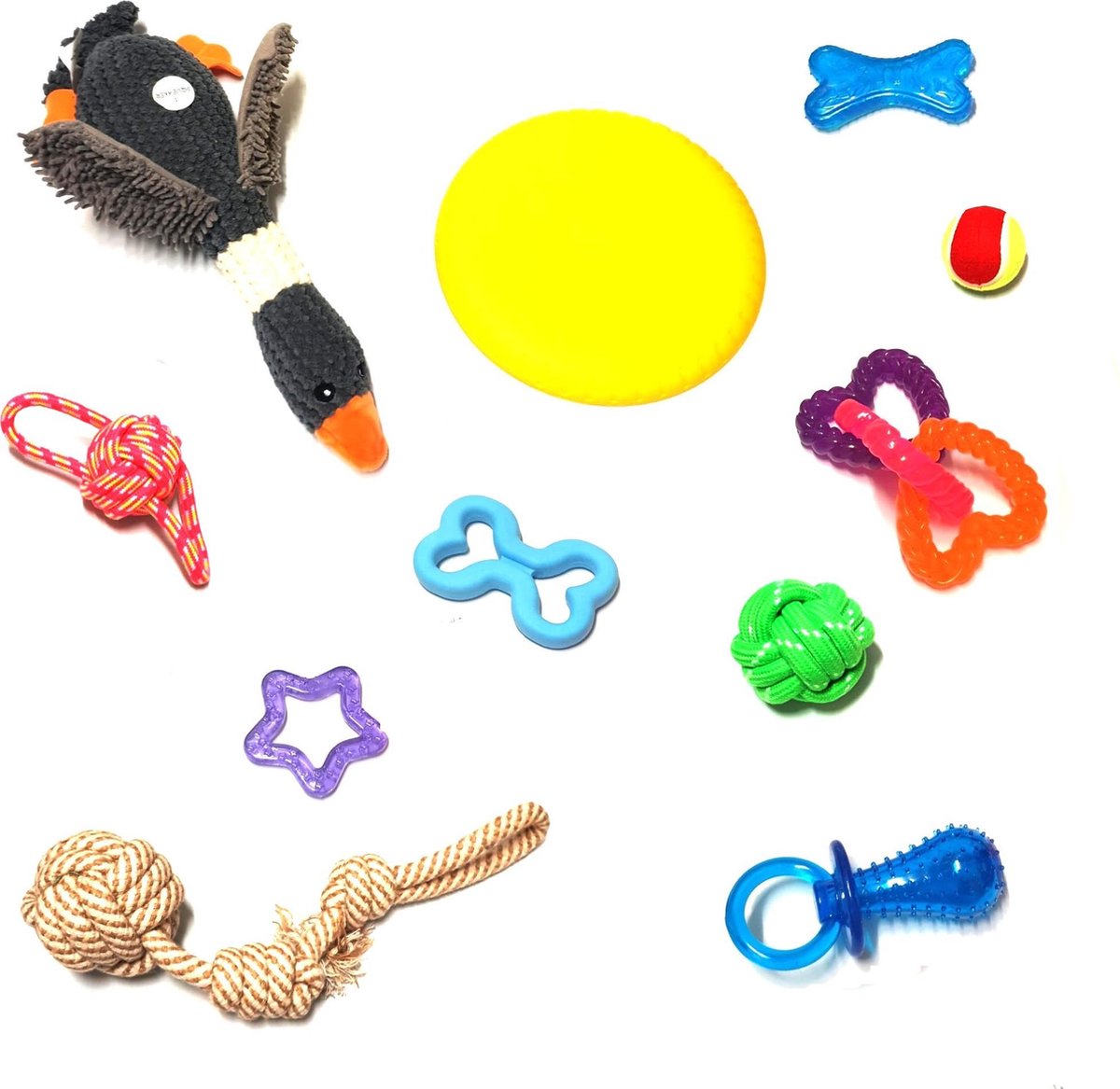 Hagedis Panty Speelgoed voor Kinderen