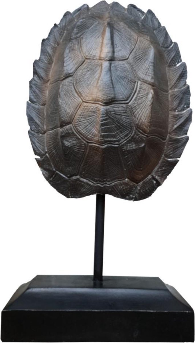 syndroom Vervreemden loyaliteit Schildpad schild op voet - 10 x 19 x 36 cm - Standbeeld van een schildpad  schild |... | bol.com