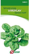 Somers zaden - Spinazie vroeg Viroflay