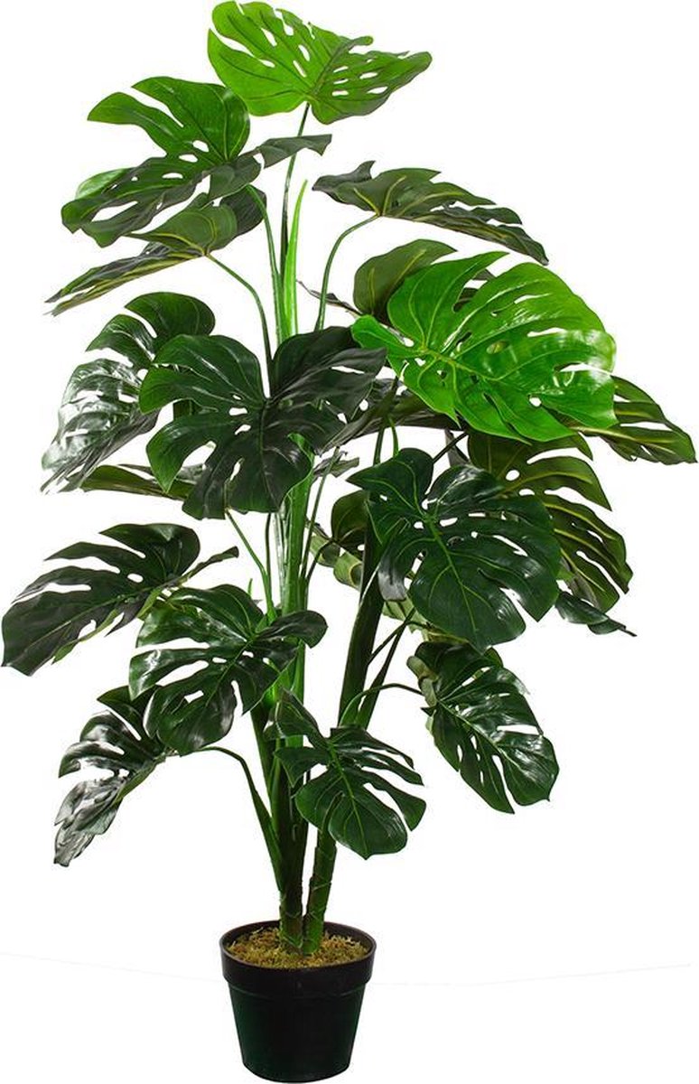 Kunstplant Monstera H120 cm - HTT Decorations kunstplanten