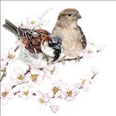 Ambiente - Sparrows Blossom - papieren lunch servetten