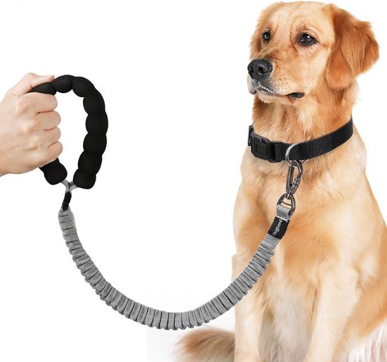 Elastische Rekbare hondenriem leiband - Trainingslijn - reflecterend -  zwart | bol.com