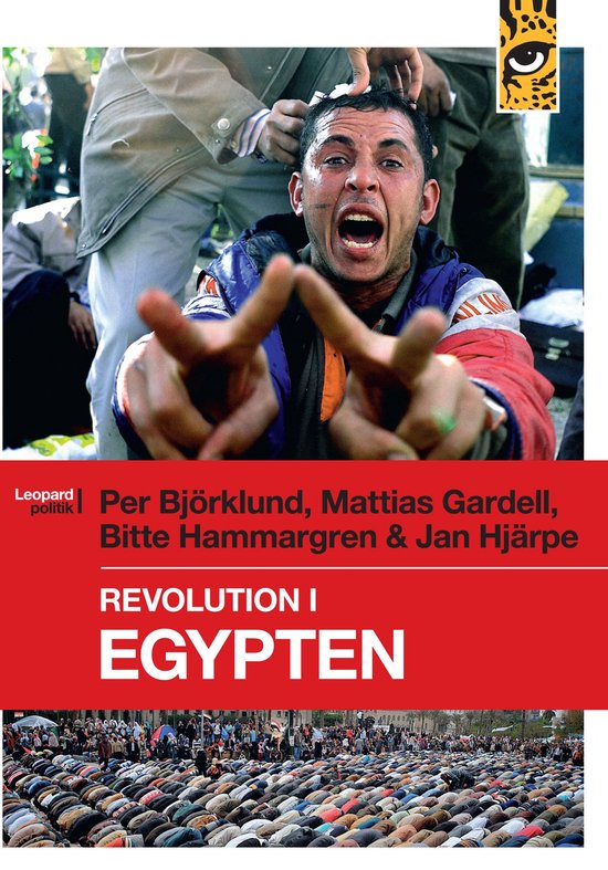 Revolution i Egypten - cover