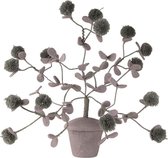 Vilten plant Pompon, speels uiterlijk, brede decoratie, bloemen van pompons