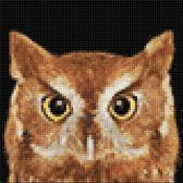 Wizardi Diamond Painting Kit Wise Owl WD2379