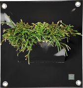 Plantenzak Bloomingwalls The Green Pockets - PEVA1 - Black