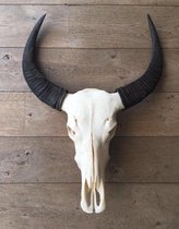 Vtw Living - Skull Echt - Dierenhoofd - Dierenschedel - Buffel - 65 cm breed
