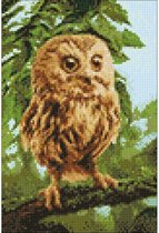 Wizardi Diamond Painting Kit Owl Mickie WD246