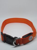 Halsband Hond - Led Oplaadbaar - Halsband