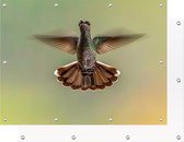Tuinposter Kolibries Vogel | 105 x 80 cm | PosterGuru