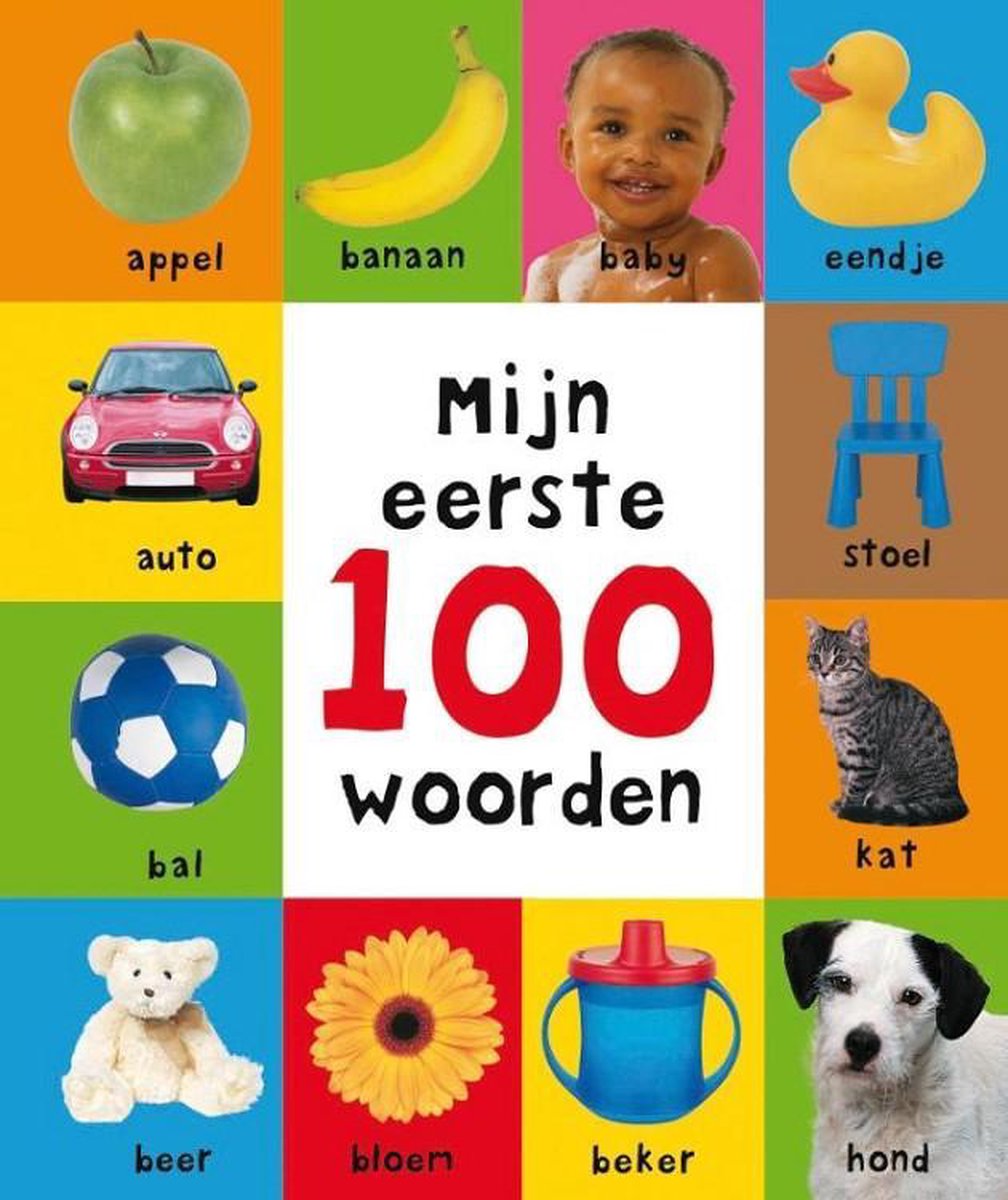 Mijn eerste 100 - Mijn eerste 100 woorden - Roger Priddy