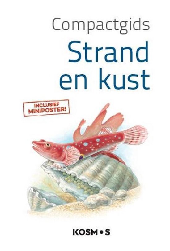 Compactgids - Strand en kust - Redactie | Respetofundacion.org