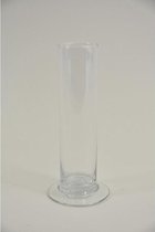 Glazen Vazen En Flessen - Cilinder Op Voet D-5 H-20 Cm