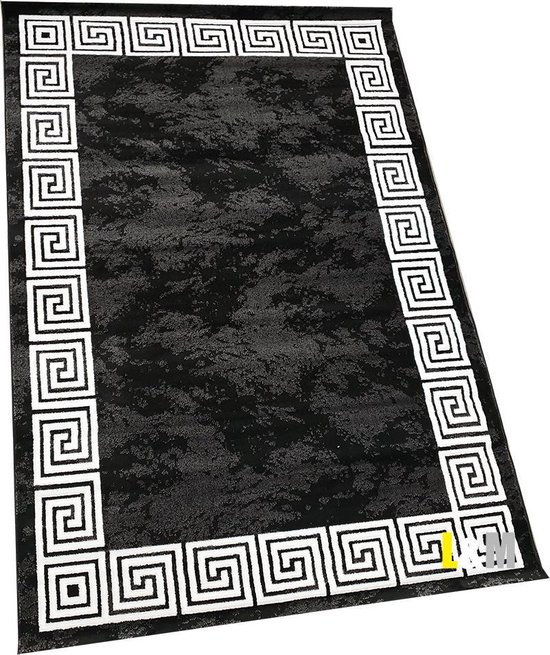 goedkoop wanhoop Verzamelen Vloerkleed Versace Blacki 160x230cm | bol.com