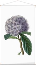 Textielposter Botanisch Brunfelsia Aquarel 2 (Brunfelsia) - 60 x 105 cm