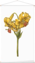 Goudbandlelie Aquarel (Yellow Japan Lily) - Foto op Textielposter - 60 x 90 cm