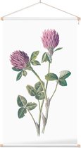 Rode Klaver (Red Meadow Clover) - Foto op Textielposter - 40 x 60 cm