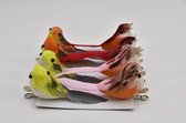 Bijstekers - 9-10cm Feather Birds W.clip 8pcs/box Red/orange/yellow/pink