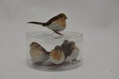 Bijstekers - Tube 6 Birds/wire Brown 12 Cm