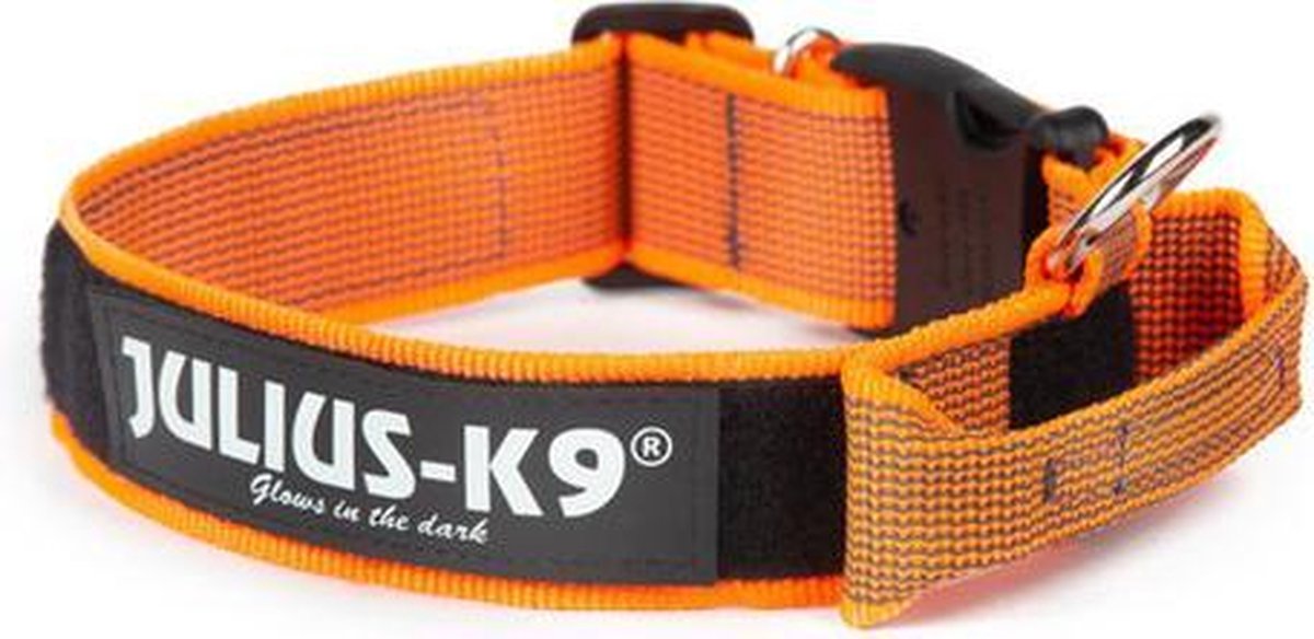 Snel ingewikkeld Opblazen Julius K9 Halsband Oranje 40 mm 38- 53 cm | bol.com