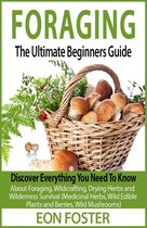 FORAGING. The Ultimate Beginners Guide