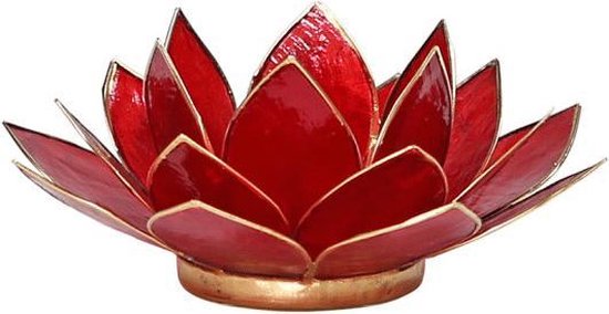 Lotus Sfeerlicht Rood 1e Chakra Goudrand