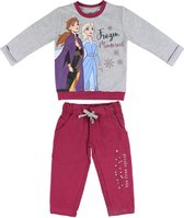 Joggingpak voor kinderen Frozen 74796 Grijs