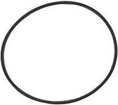 Volvo O-Ring (925261)