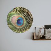 Schilderij Fotokunst Rond  | Peacock Pauw  | 75 x 75 cm | PosterGuru